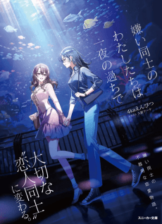 Kirai Doushi no Watashitachi wa Ichiya no Ayamachi de